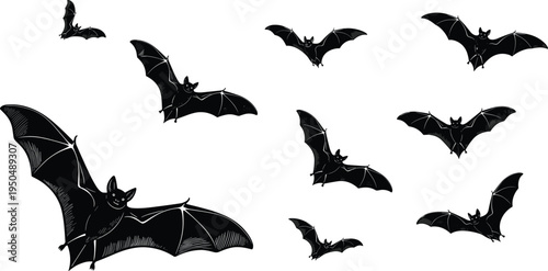Flying bat silhouettes collection, nocturnal bat animals set, spooky halloween bats, wildlife flying mammal illustration, dark night creatures