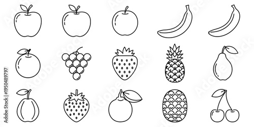 A collection of hand drawn fruit illustrations