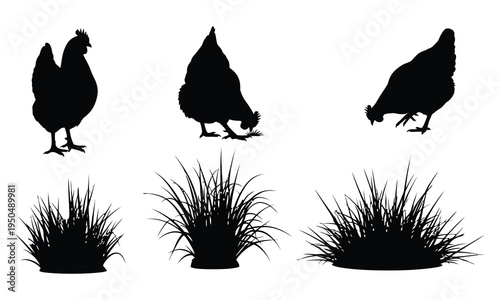 Silhouettes of chickens and grass clumps in various poses and arrangements