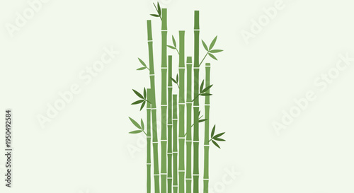 Green Bamboo Stalks Illustration