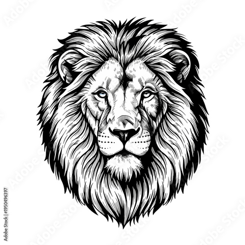 A majestic lion's face with a shaggy mane on transparent background