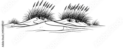 A line art depiction of wind-swept dunes with tall grasses blowing