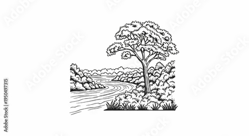 A winding river flows through a lush forest with a large tree