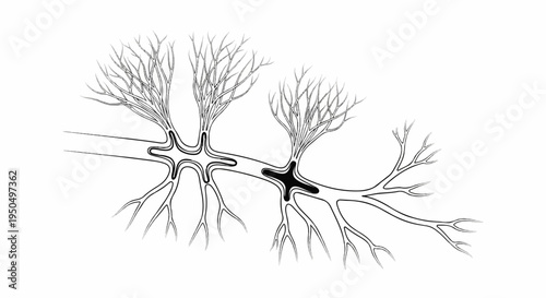 Black and white abstract illustration of interconnected neuron branches