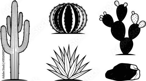 Diverse desert flora and fauna represented in stark black and white graphics