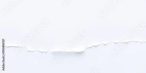 Jagged edges of white paper, torn irregularly, showing fiber texture,  white paper,  irregular