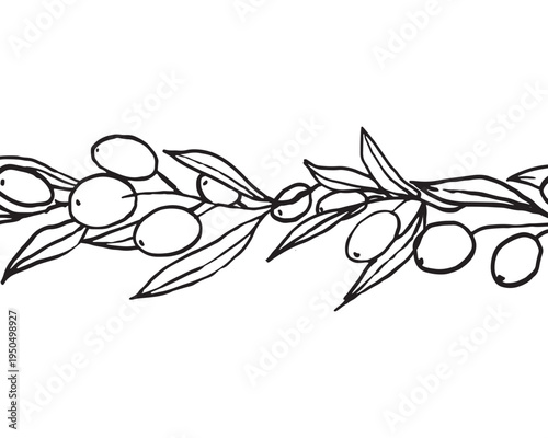 Hand drawn vector seamless border featuring olive branches with leaves and olives. The design is simple and elegant, suitable for various decorative purposes.