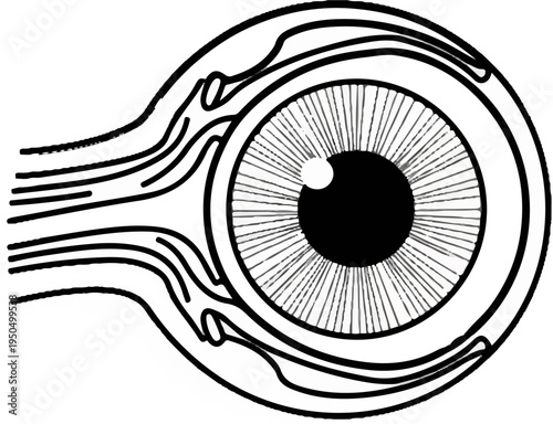 Stylized illustration of a human eye, showing iris, pupil, and optic nerve