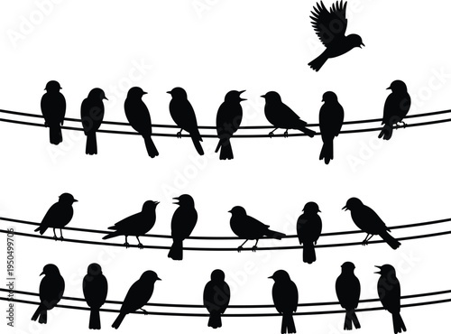 Black silhouette birds perched on wires with one flying above, urban nature minimalist vector illustration artwork design