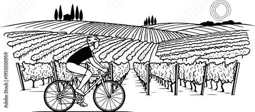 Cyclist rides through rolling vineyards under a stylized sun
