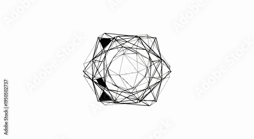 Intricate geometric wireframe structure with dark triangular insets on white background