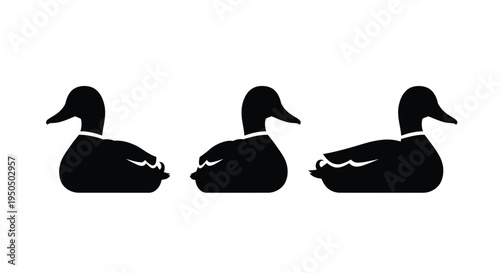 Three black silhouettes of ducks swimming in a row