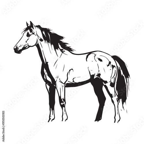 A black and white drawing of a horse's head