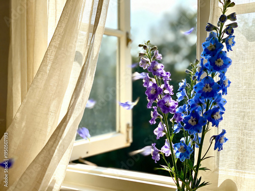 Blue and purple delphinium flowers by an open window with floating petals. Summer still life with a gentle breeze and natural sunlight