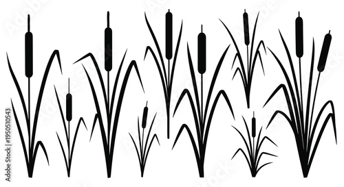 A black and white illustration depicts a group of cattails and grasses growing together in nature high quality professional