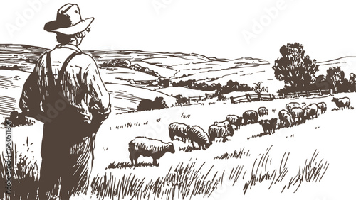 Shepherd flock hills rural countryside. Back view farmer observing grazing sheep landscape. Chalk hand drawn drawing style. Banner for farming promotion and rural themes.