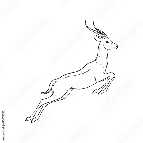 A drawing of an antelope with large horns