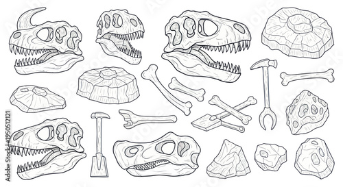 Dinosaur Skeletons and Fossils Collection - Paleontology Illustration