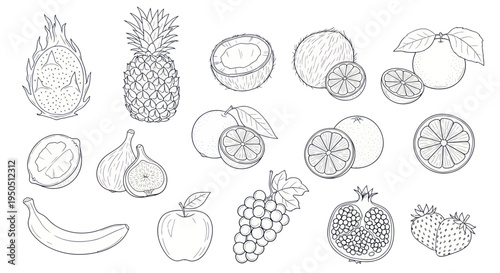 Hand-drawn sketch collection of various fresh fruits