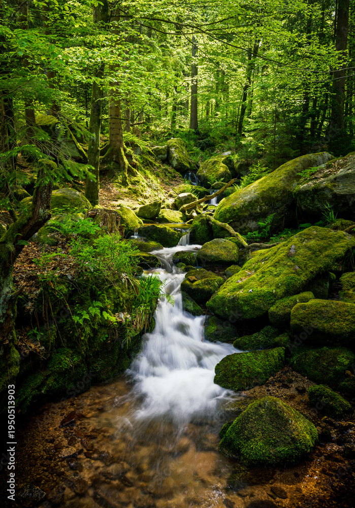 Fototapeta premium Gertelbach Waterfall with moos and green forest nationalpark Blackforest schwarzwald