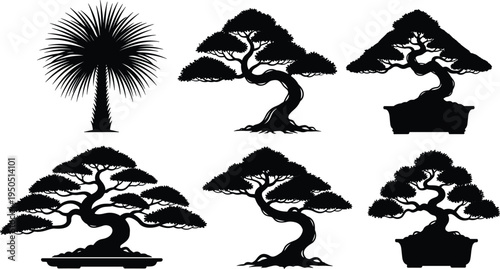 Tree silhouette vector illustration set, bonsai palm designs, black and white nature artwork, horticulture plant graphic, decorative garden concept collection