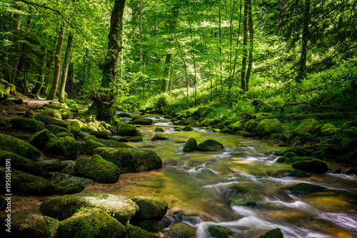 Geroldsau waterfall with moos and green forest nationalpark Blackforest schwarzwald