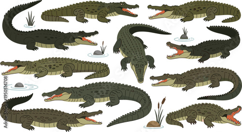 Crocodile and alligator vector character sheet collection featuring various predatory poses with open jaws and swimming actions isolated on white background for wildlife and safari design.