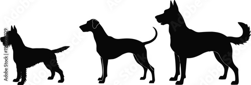 Black dog silhouette set featuring different breeds including terrier and shepherd standing in profile for pet shop logos, veterinary clinics, and canine grooming.