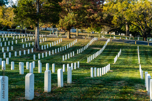 Autumn Light on Arlington National Cemetery Headstones