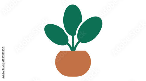 Green houseplant in a brown pot on white background.