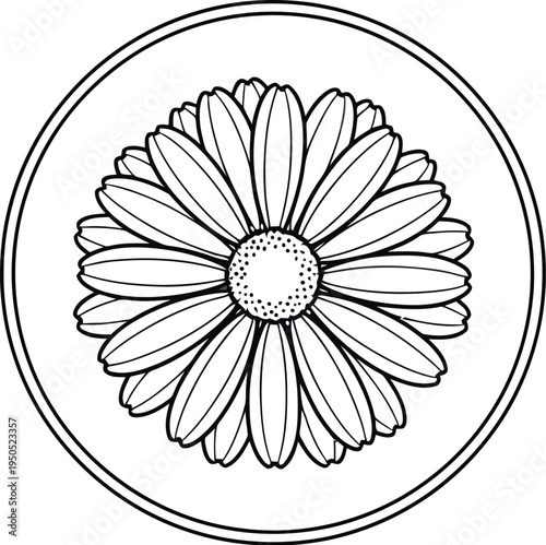 Simple black and white line art illustration of a daisy flower blossom enclosed within a circular border design element