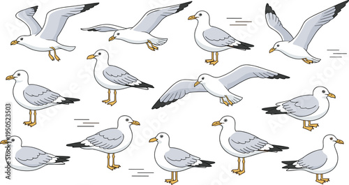 Seagull bird vector character sheet collection featuring various flying and standing poses isolated on white background for beach coastal ocean and nautical themed graphic design projects.