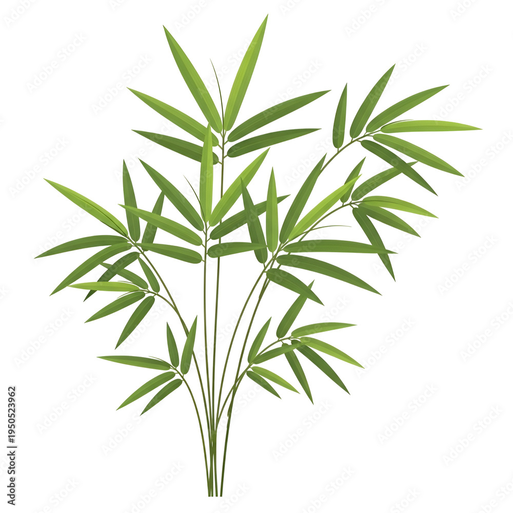 Fototapeta premium Green Bamboo Plant Leaves Closeup.