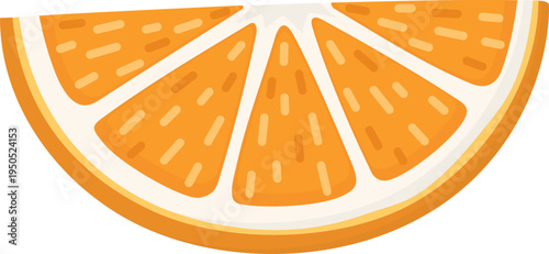 Illustration of fresh half‑round orange slice. Bright fruit with juicy pulp isolated on white background