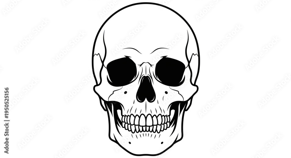 Fototapeta premium Detailed Skull Illustration - Anatomical Accuracy and Artistic Expression.