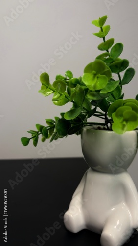 Green Houseplant in Decorative Ceramic Pot – Minimalist Home Decor, Modern Indoor Plant

A clean and stylish green houseplant in a decorative ceramic pot, captured in a minimalist home interior settin