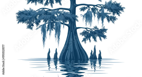 Ancient Cypress Tree with Spanish Moss and Knees in Water Reflection