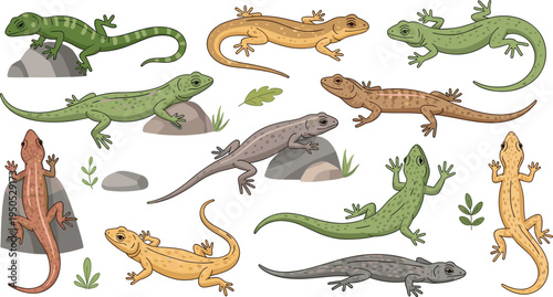 Lizard and gecko vector character sheet collection featuring various green and brown reptiles climbing on rocks and leaves isolated on white background for wildlife and nature design.