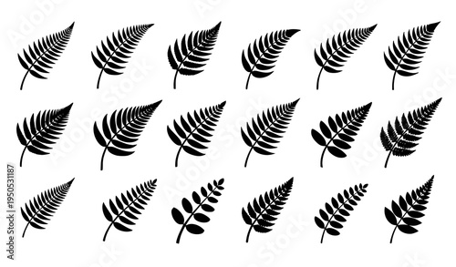 New Zealand Silver Fern Icon Set Black Fern Leaf Emblem Vector Collection