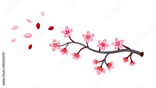 Cherry blossom branch with falling petals