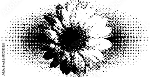 Black and white halftone sacred geometry flower of life design for art and prints