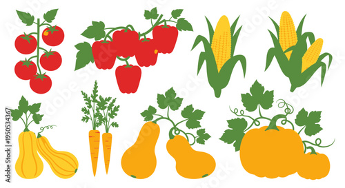 Assorted Fresh Vegetables and Produce Collection - Healthy Eating and Harvest Illustration