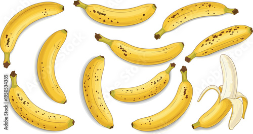 Banana collection set. Ripe yellow bananas and peeled banana illustration. Fresh tropical fruit elements for healthy food, smoothie ingredients and organic diet design.