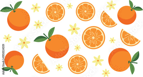 Orange fruit collection with blossoms. Whole oranges, juicy slices and citrus flowers. Fresh summer fruit illustration set for juice, organic food and healthy diet design.