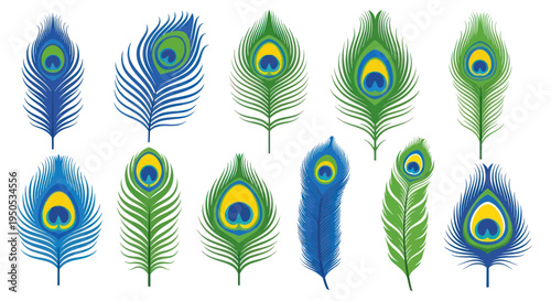 Collection of Vibrant Peacock Feathers with Eye Pattern