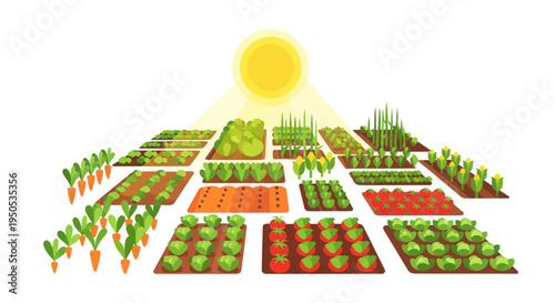 Vibrant Vegetable Garden Under Bright Sunlight, Growing Healthy Food