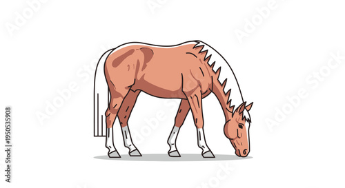 Illustration of a brown horse grazing on a white background.