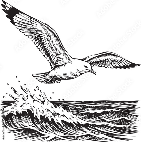 Seagull flying near crashing wave with water splashes engraving art design