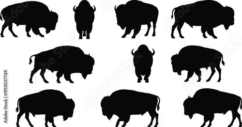 Bison Silhouette Collection Set, American Buffalo Wild Bull Black Isolated Prairie Animal Flat Vector Illustration