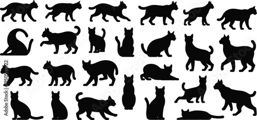 Black cat silhouette collection, domestic feline pose set bundle, isolated pet animal shapes, walking sitting stretching lying vector